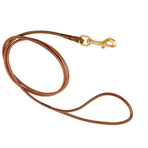 round leather leash dog Munich