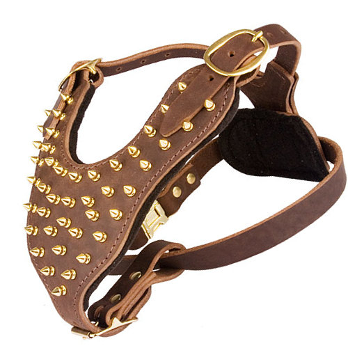 Brass leather spiked dog harness 