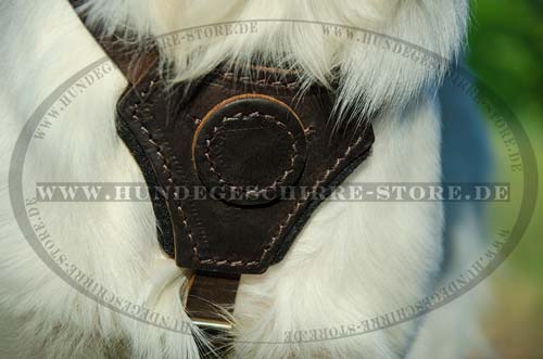 Golden Retriever Welpen Geschirr Leder | Welpengeschirr 2023
