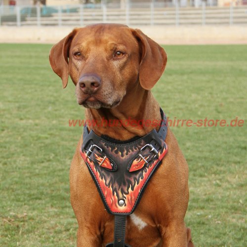 Hundegeschirr aus Leder mit flammigem Design fuer Ridgeback!