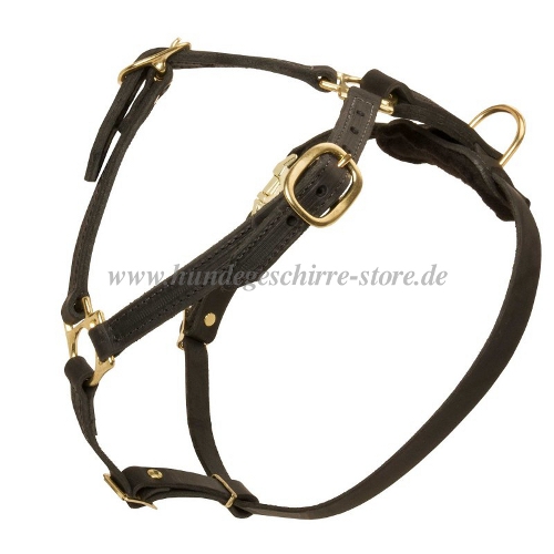 Hundegeschirr für Aktive Pfleglinge | Elegantes Ledergeschirr