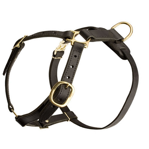 Leather Harness for Working Dogs