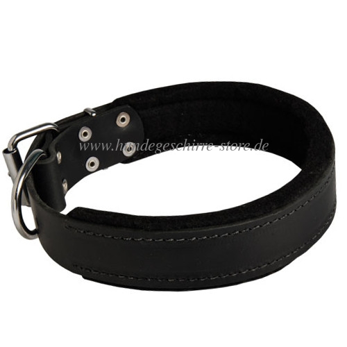 Hundehalsband Leder mit dicker Filz-Polsterung