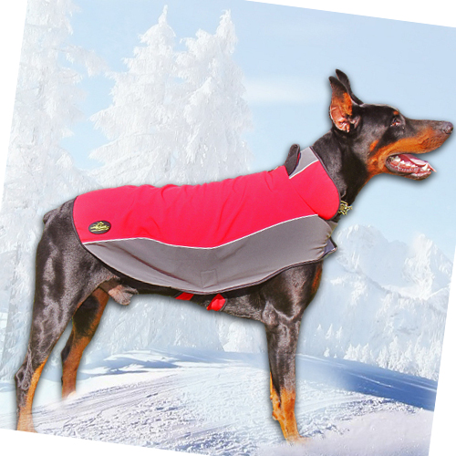 Winter coat for Doberman