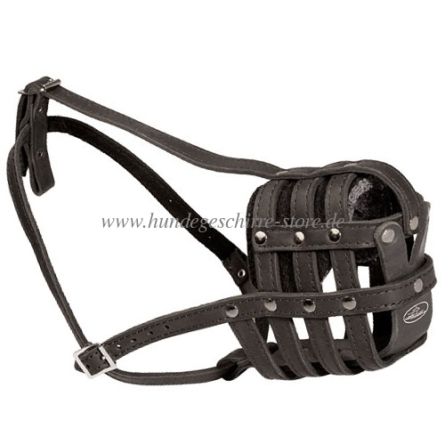 Muzzle leather universally buy