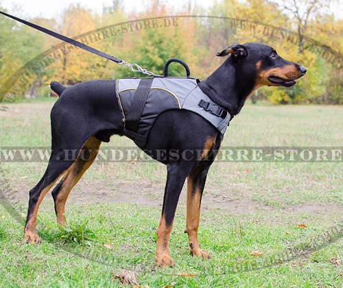 Hundegeschirr Nylon für Tragen | Hundeweste für Dobermann