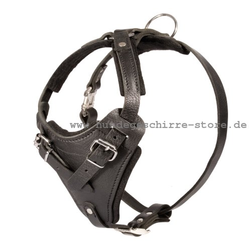 K9 Hundegeschirr aus Leder mit Filzpolsterung