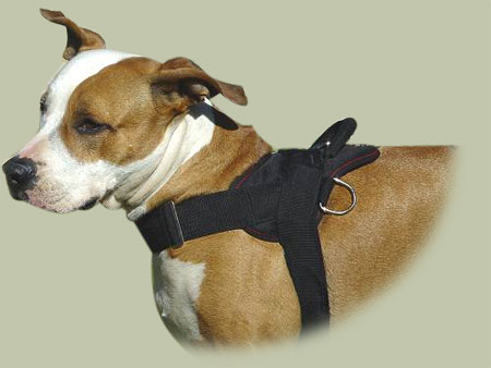 Hundegeschirr nylon für Amerikanischen Pitbull