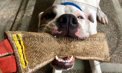 Kleine Beisswurst aus Jute für Amerikanische Bulldogge Welpen