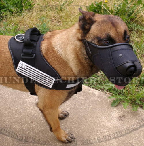Kombiniertes Maulkorb Leder mit Nylon für Malinois