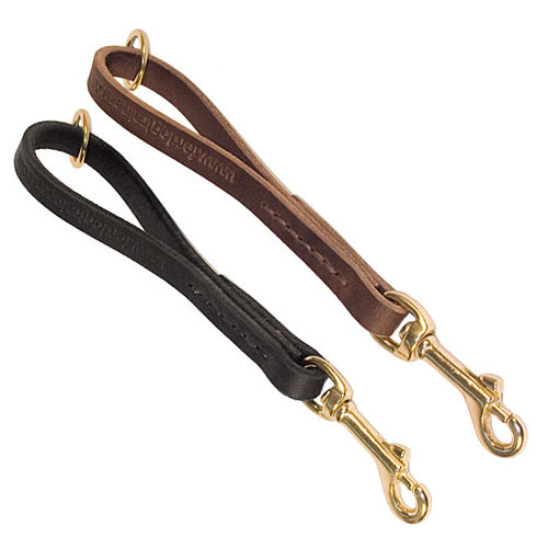 Leather Leash with a Handle