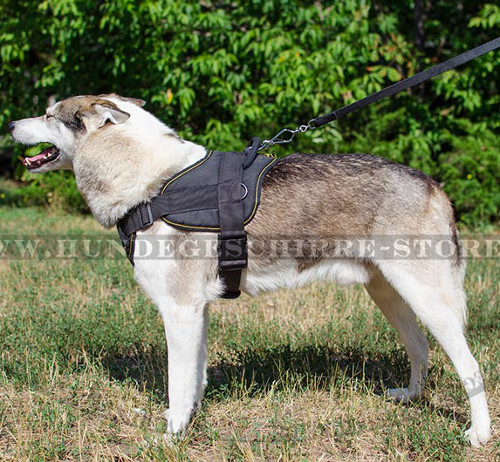 Laika Geschirr Nylon Universell | Hundegeschirr Multifunktional