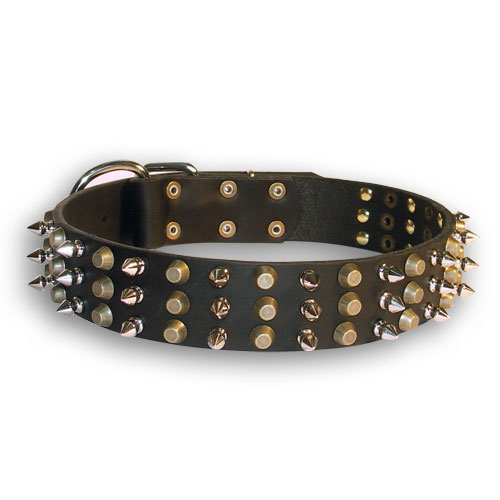 Perfect  Leather Dog Collar with Spikes and Pyramids