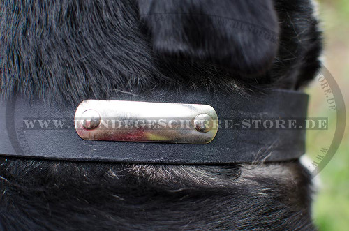 Sennenhund Halsband mit Namen-Platte