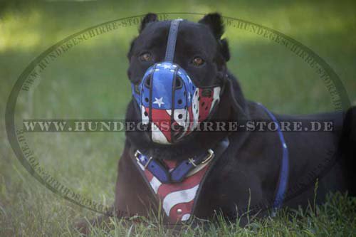 Leather Muzzle Exclusive for Cane Corso Mastiff