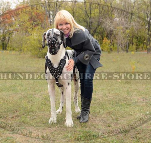 Maulkorb Aus Leder Fur Deutsche Dogge Ausgezeichnet 39 0