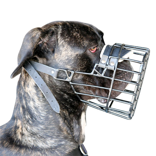 /images/large/M10-wire-dog-muzzle-UK_LRG.jpg