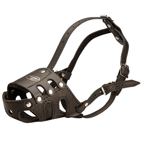 Bull Terrier Leather Muzzle