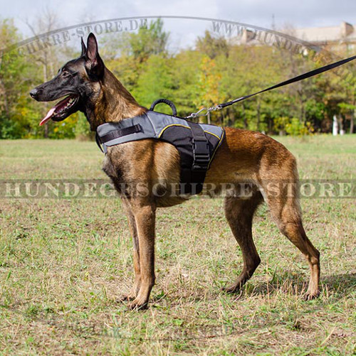 Malinois Tragegeschirr Nylon | Hundegeschirr Warm Gepolstert