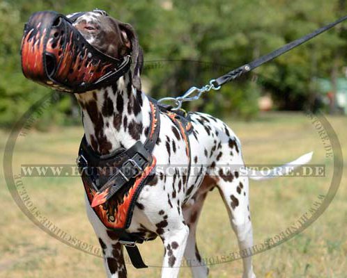 Dalmatian dog muzzle with painting flame