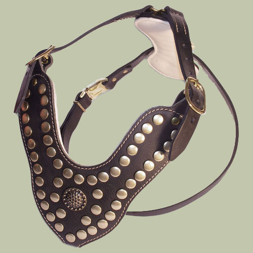 Bordeauxdogge Edles mit Nieten Hundegeschirr Leder