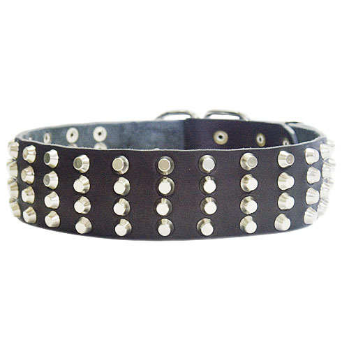 Extra wide spiked dog collar 