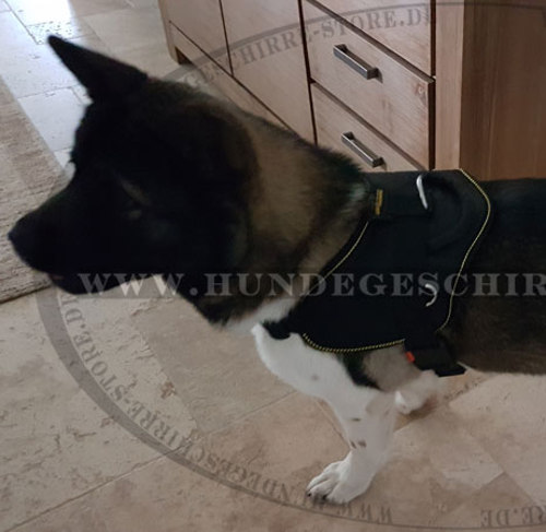 Allwetter Brustgeschirr K9 für Akita Inu