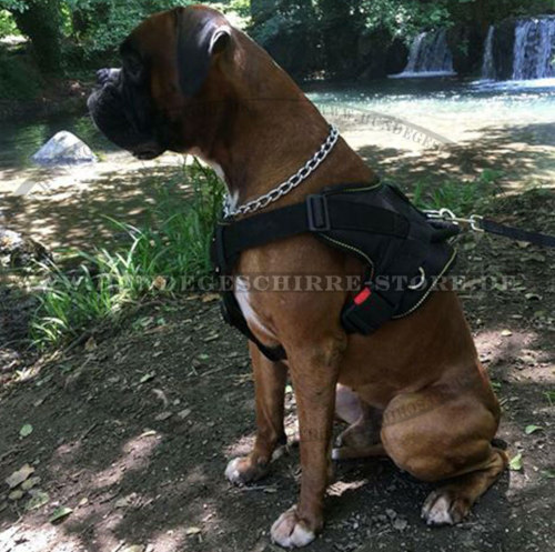 Nylon Hund Geschirr für Deutschen Boxer