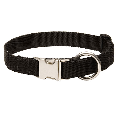 nylon  dog collar for all dog sizes