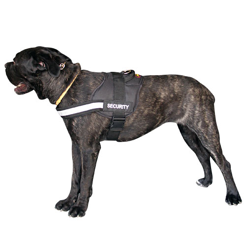 reflective dog harness for Cane Corso
