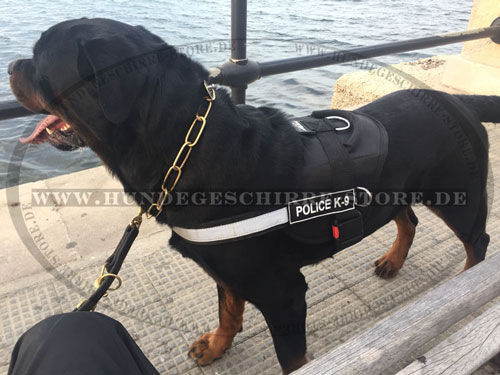 Rottweiler Hundegeschirr mit Logos, Allwetter-Nylon