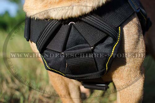 Geschirr aus Nylon für Shar-Pei Hundesport