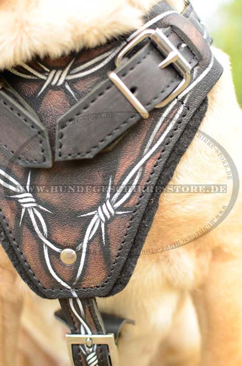 Designer Harness for Sharpei 