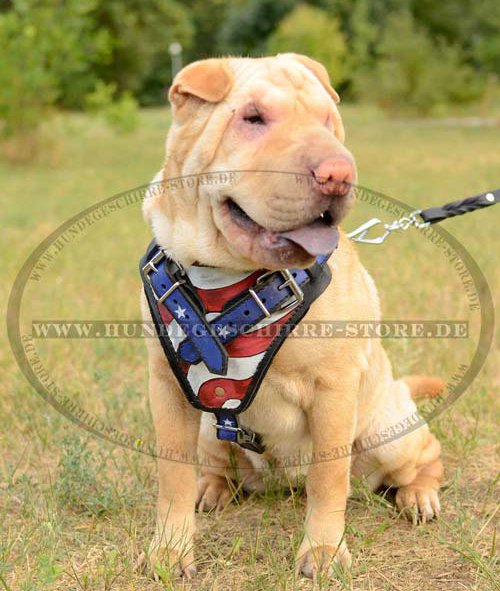 Sharpei Harness K9 