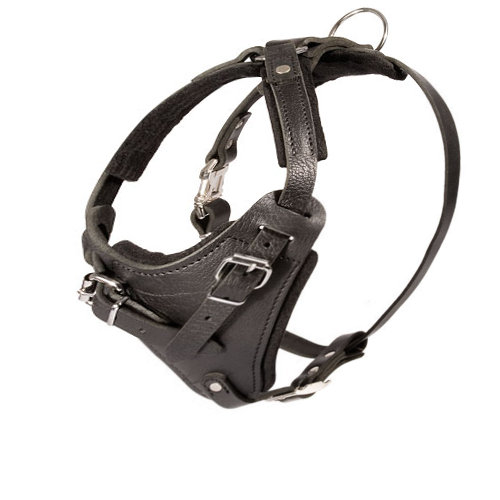 best designer custom leather dog harness