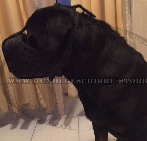 - Click Image to Close