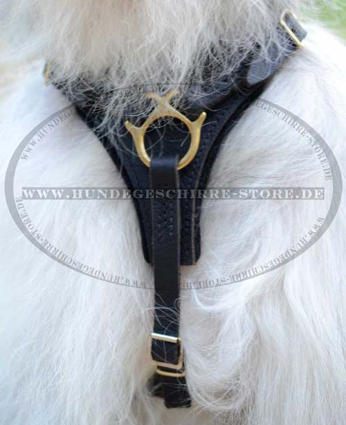 South Russian Ovcharka Harness Leather for Mantraling 
