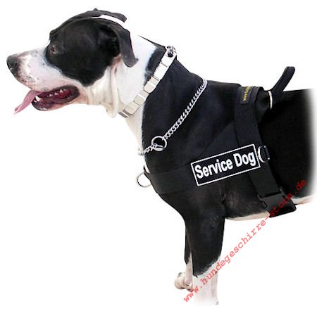 Amstaff dog harness, DE - Better control of your dog