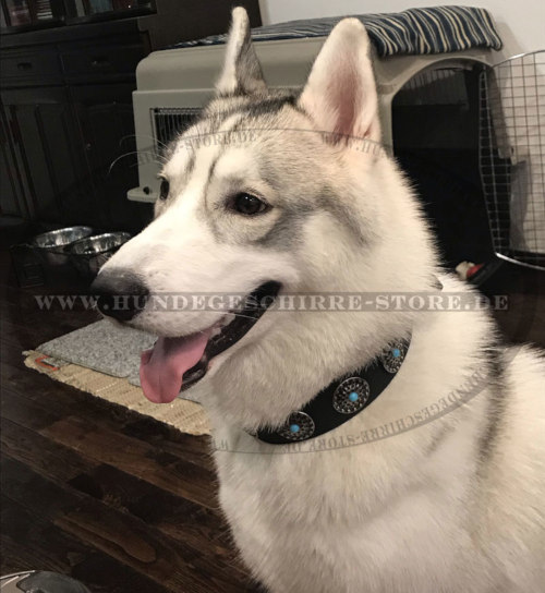 Verziertes Halsband mit Steinen für Husky