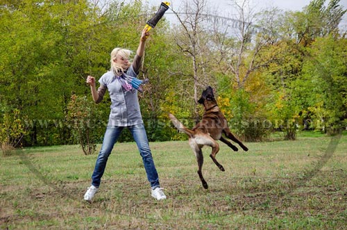 Beißkissen für Schäferhund, große Beisswurst