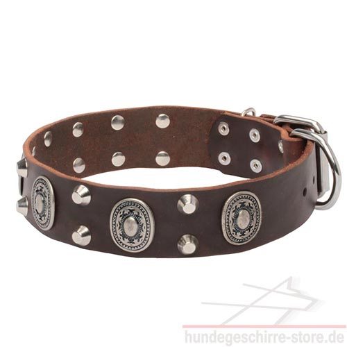 Breite Leder Hundehälsbander mit Edlem Design