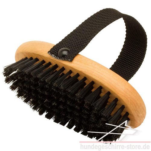 Short coat dog brush
