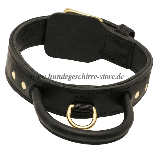 Hundehalsband Leder 45 mm breit mit Handgriff