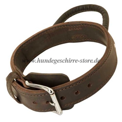 Hundehalsband Leder 45 mm breit mit Handgriff