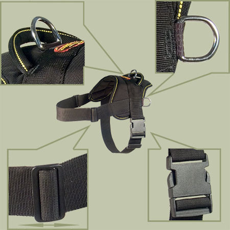 Nylon Harness for Kuvasz