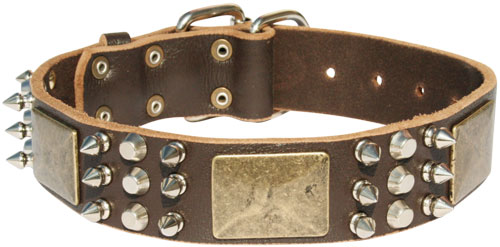 best spiked dog collar for large dog breeds