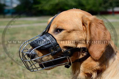 Maulkorb aus Draht für Golden Retriever, garantierte Qualität