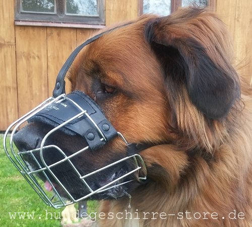 Maulkorb aus Draht für German Beardog mit Filz-Futter, bequem
