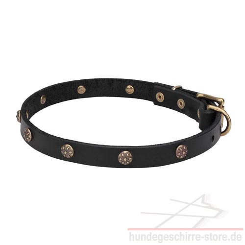 Leder Hundehalsband Exklusiv mit Messing Nieten mit Gravierung