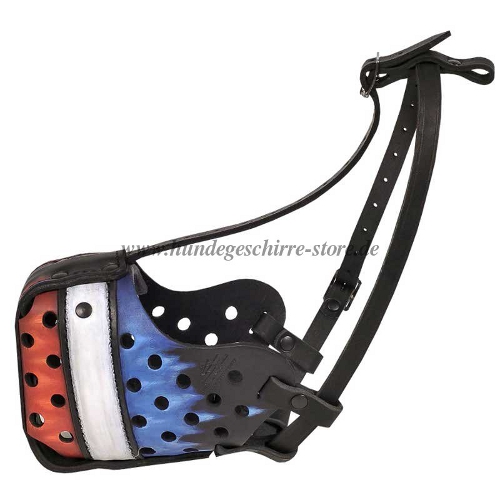 Stoßmaulkorb Leder mit Französischer Farbe Muster